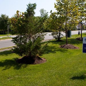 Candlewood Suites Washington-Dulles Herndon By Ihg